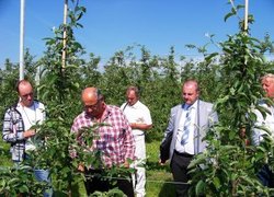 Дискусія в яблуневому саду